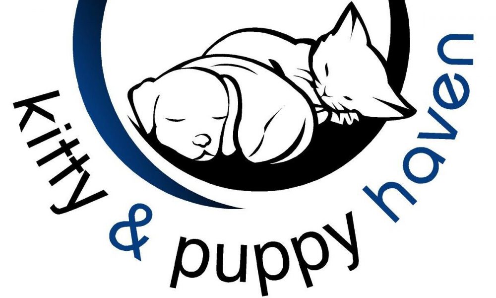 Kitty and Puppy Haven -Kitty and Puppy Haven Animal Shelter Robbed