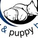 Kitty and Puppy Haven -Kitty and Puppy Haven Animal Shelter Robbed