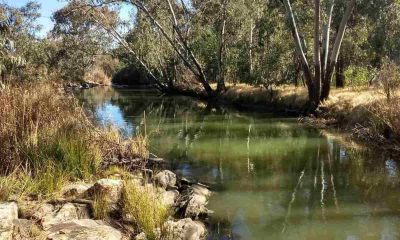 sewage spill in Blesbokspruit