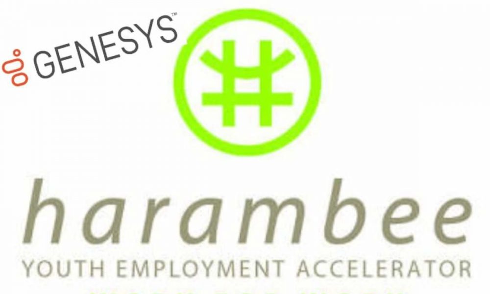 Harambee Youth Employment Accelerator