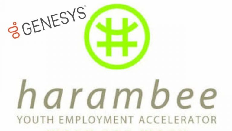 Harambee Youth Employment Accelerator