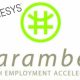 Harambee Youth Employment Accelerator