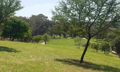 James and Ethel Gray Park ablution facilities to be upgraded