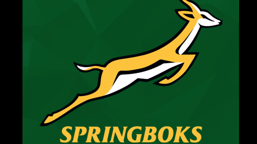 Do these 14 players earn Springboks RWC selection?