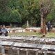 ash walls at Braamfontein Cemetery restored