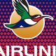 Airlink