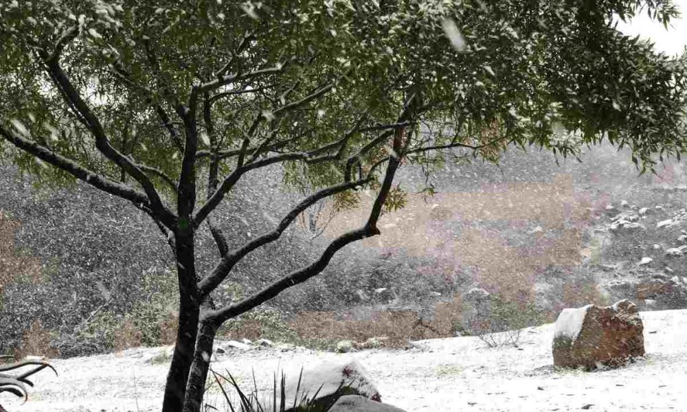 Johannesburg snowfall is hampering road visibility