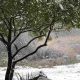 Johannesburg snowfall is hampering road visibility