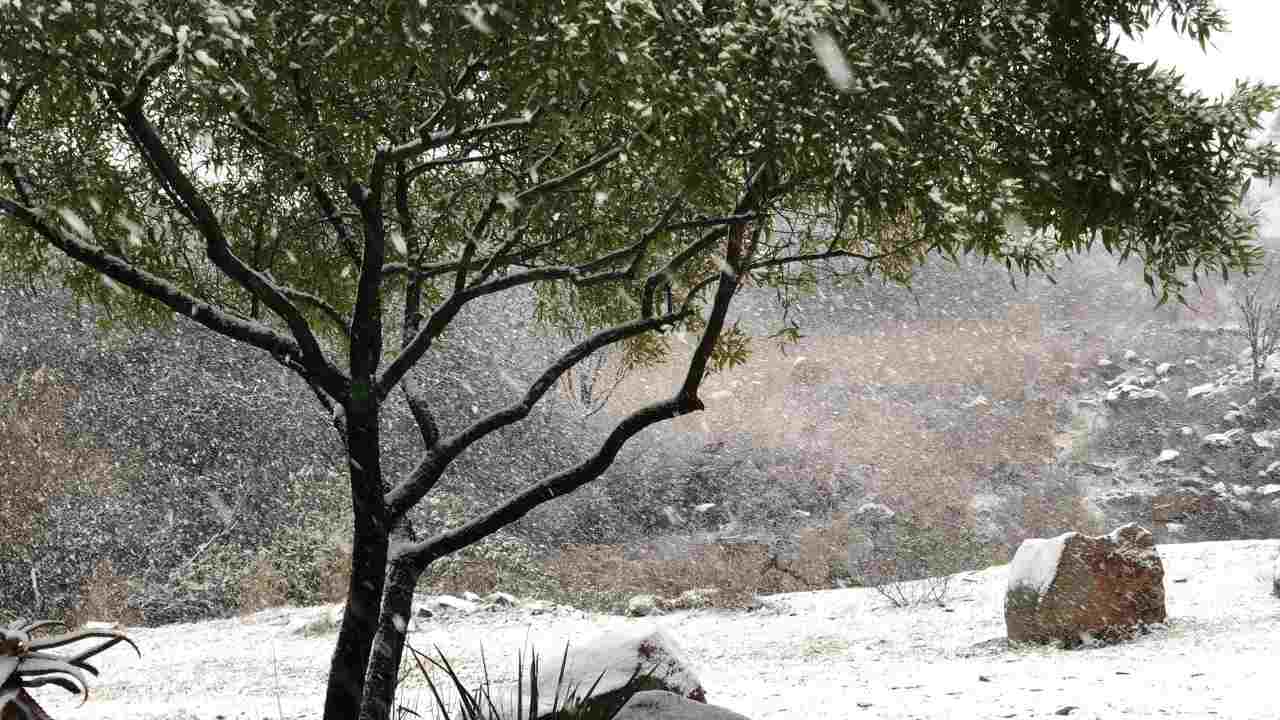 Johannesburg snowfall is hampering road visibility