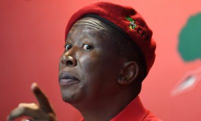 Julius Malema hit back at the Nasi Ispani job campaign