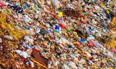 Recyclers ignore an illegal dumping sign in Highlands North