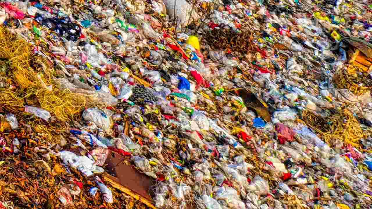 Recyclers ignore an illegal dumping sign in Highlands North