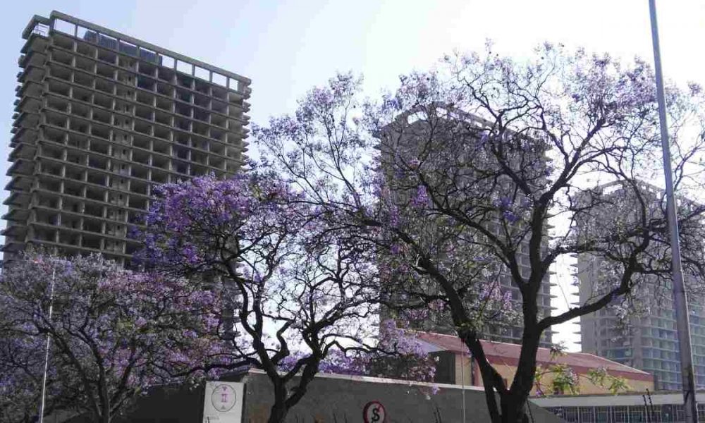 Tshwane will finally restore Schubart Park