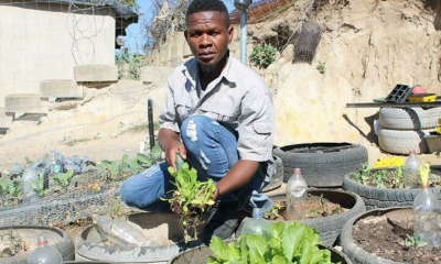 Vegetable Gardens