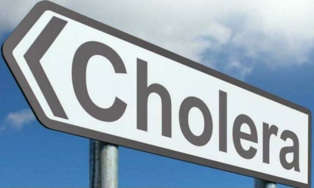 cholera