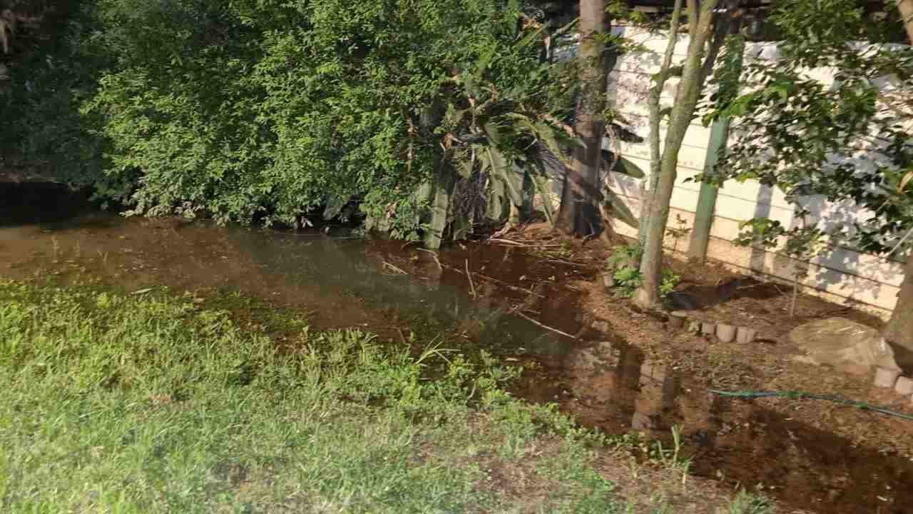 raw sewage stench in Mackenzie Park