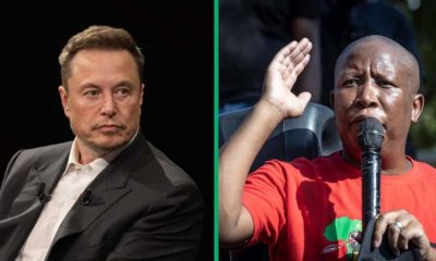 Julius Malema has hit back at Elon Musk