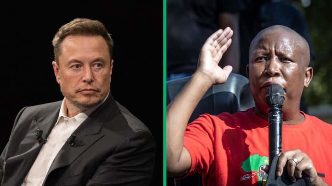 Julius Malema has hit back at Elon Musk