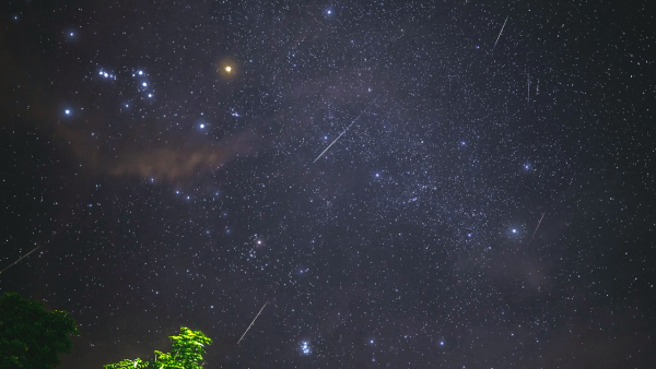 Meteor Shower - Gaze Up! 7 Unmissable Astronomical Events in August