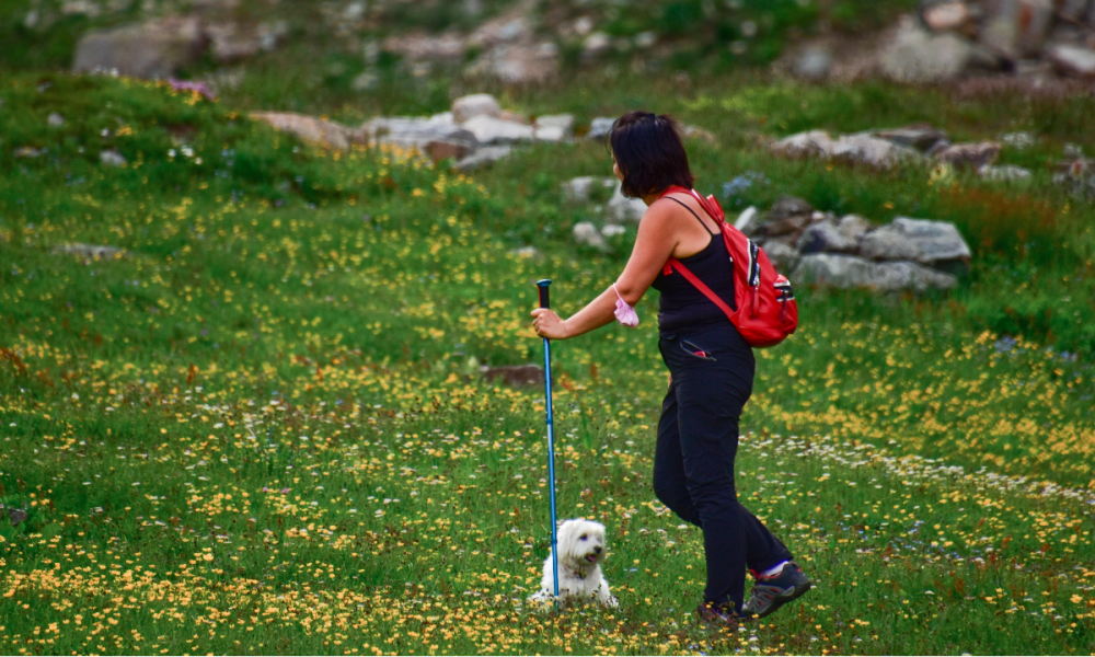 Nordic Walk to Grace Benoni's Enchanting Landscape