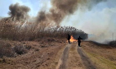 Gangs of BalVeld fires in the North West provincelet and Beatenberg at Kirstenbosch