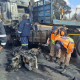 The City of Ekurhuleni emergency services rescue team responded to a crash involving a motorbike and interlinked truck, at the corner of Jack and Refinery roads in Germiston, on August 10.