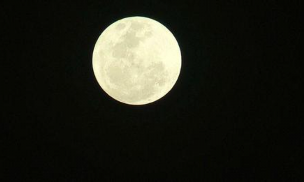 Bigger and Brighter: Supermoon Illuminates Johannesburg's Skies