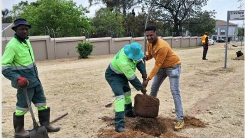 15 Trees Planted in Celebration of Arbor Month | News