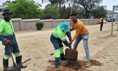 15 Trees Planted in Celebration of Arbor Month