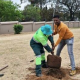 15 Trees Planted in Celebration of Arbor Month