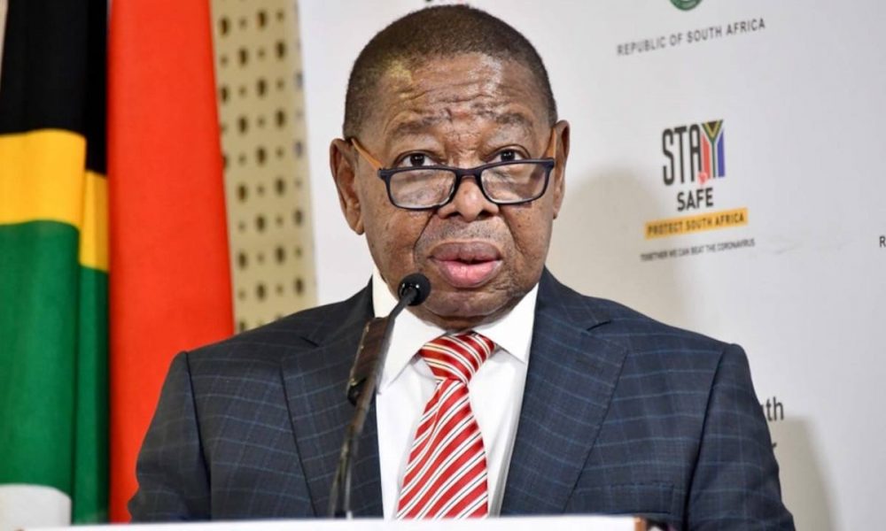 Dr Blade Nzimande will visit Japan