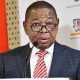 Dr Blade Nzimande will visit Japan