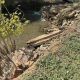 Jukskei Park family endures infrastructure damage