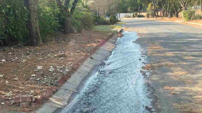 Randpark Ridge sewage leak