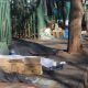 New Gauteng DSD Strategy Supports Four Homeless Shelters