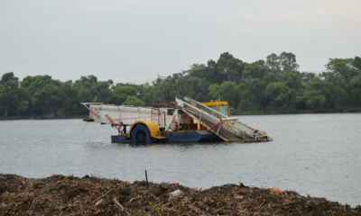 Witfield Dam Hyacinth Successfully Eliminated