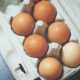 egg purchase limits