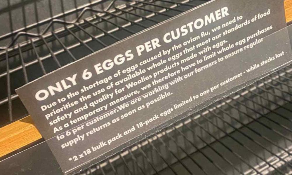 egg shortage in Pretoria