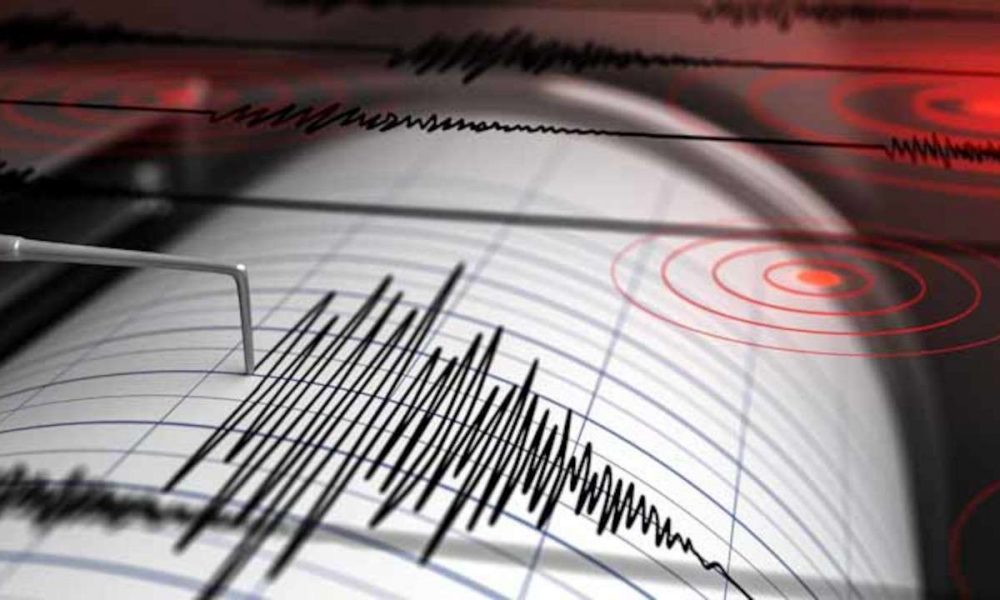 tremor in Gauteng