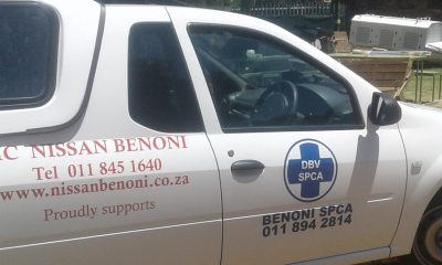 Benoni SPCA