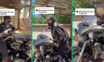 Gauteng Grandma Masters Harley Davidson in TikTok Video