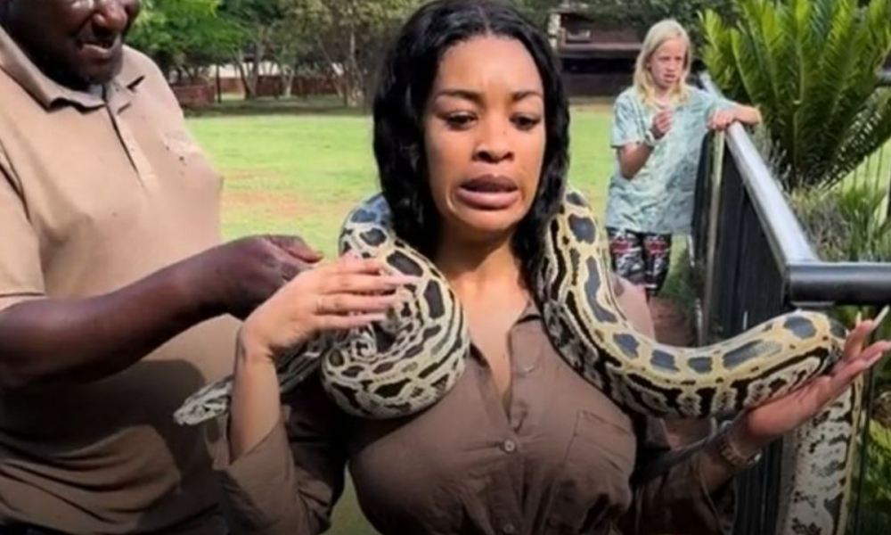 Gauteng Woman's TikTok-Viral Snake Encounter at Animal Sanctuary