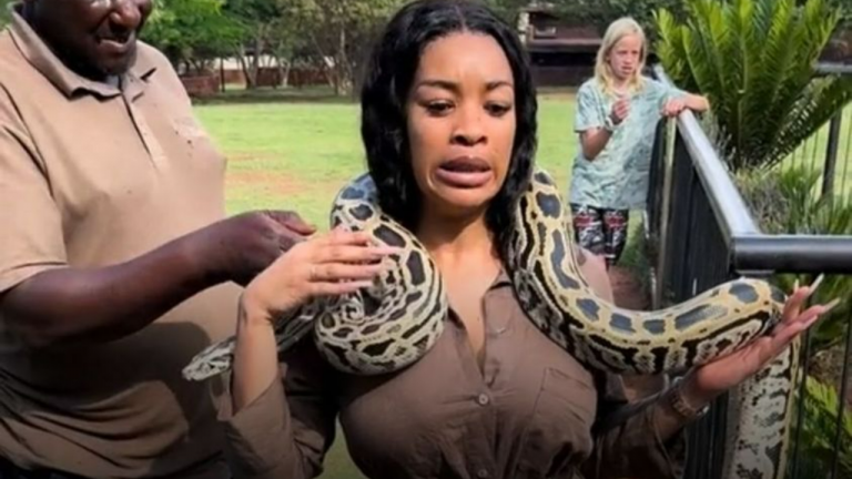 Gauteng Woman's TikTok-Viral Snake Encounter at Animal Sanctuary