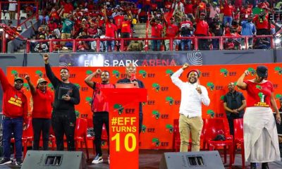 Julius Malema says springboks must fall