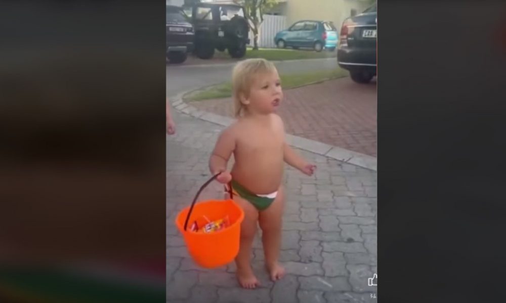 toddler dress up as Faf de Klerk